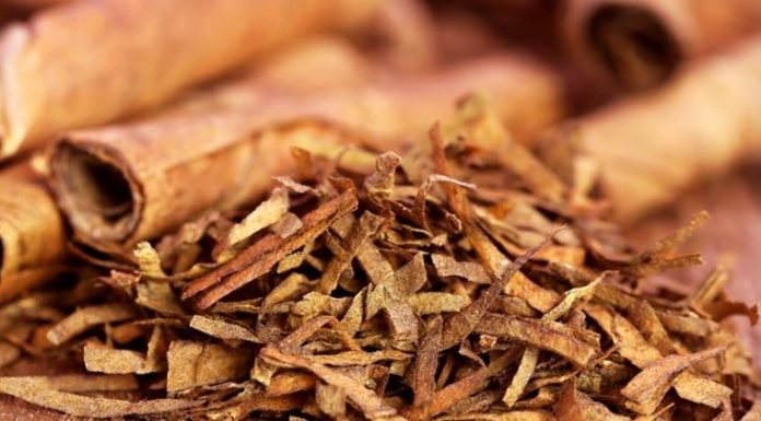 Growers oppose massive cut in tobacco duty