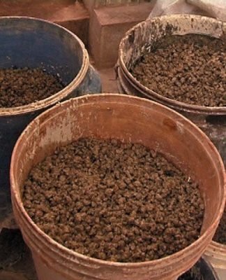 SHC gives Sindh government till December 10 to legislate laws against gutka