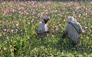 Smuggling of wheat/products to Afghanistan: Presence of different agencies at crossing points raises question