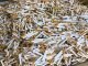 Six million illegal cigarettes confiscated