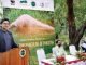 80pc of country’s pangolins lost to illegal hunting: WWF