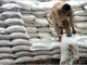 Lacking tax stamps: FBR raids sugar mill in Hyderabad, seizes 172 sugar bags