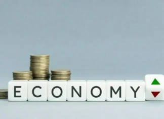 Shadow economy’ primary hurdle for economic recovery
